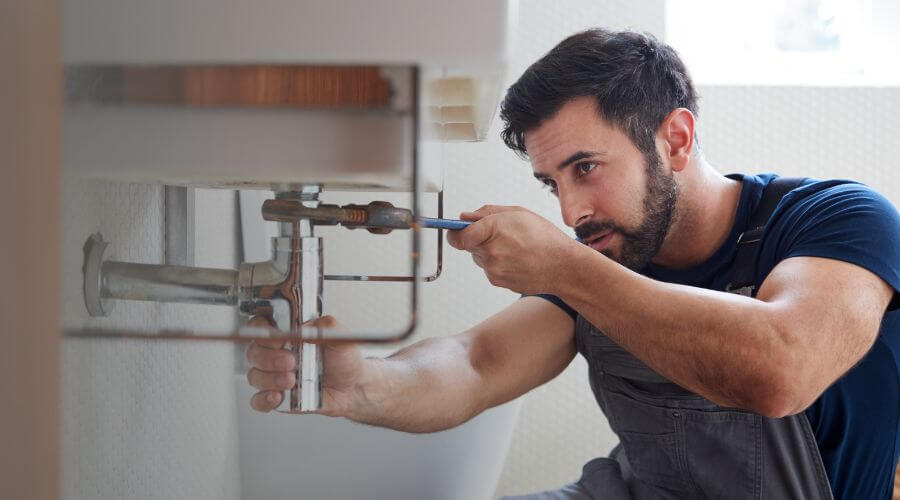 Trap Repair/Replacement in Cornland, IL